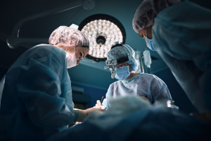 She came from a miniature breed. The first such transplant in a human in history.