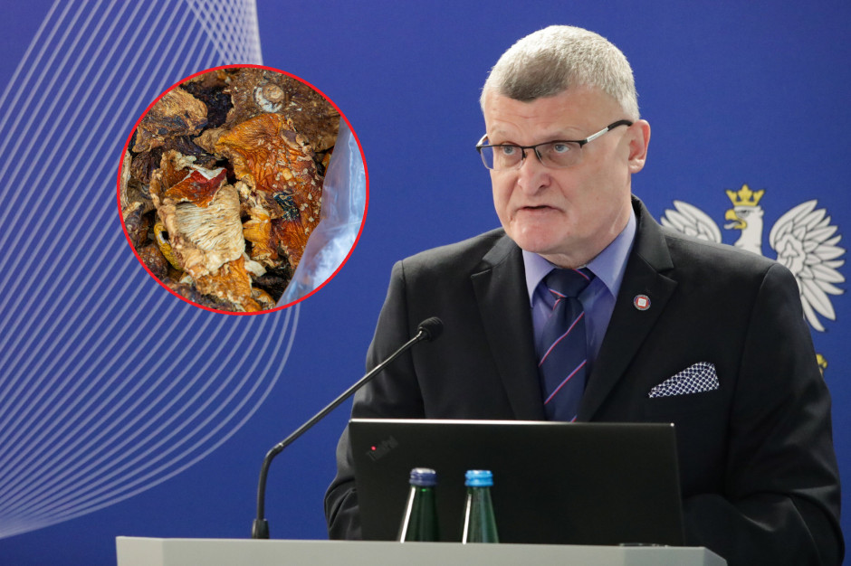 GIS: śmiertelnie niebezpieczne. Zakazane, ale w internecie kupisz od ręki