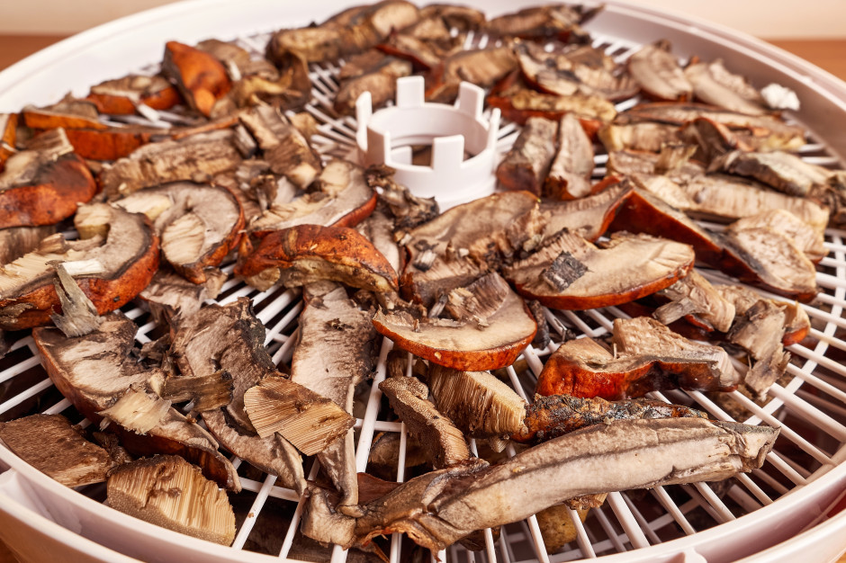 Alarm z powodu nowego trendu z TikToka. "Może doprowadzić do tragedii"