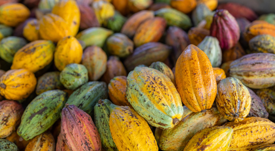 Nowe odkrycie ws. kakao. Kubek przed podróżą autem to rewelacyjny pomysł