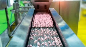 Efektywnie czyli tanio. Brakuje odwagi decyzyjnej do zapłacenia premii za bezpieczeństwo