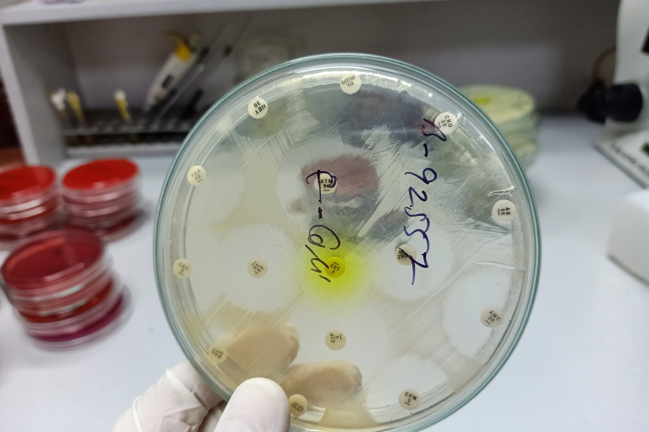 "Wyprzedza postępy medycyny". Zagrożenie rośnie, nowy alarm ogłoszony