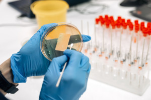 Olbrzymi zbiór danych o mikrobiomie Polaków trafi do zastosowań rynkowych