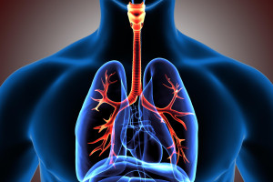 Nawet doświadczeni radiolodzy przegrywają ze sztuczną inteligencją