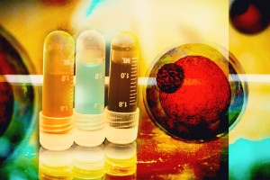  drastycznie nasilił miażdżycę, ale tylko u samców. Będą kolejne badania