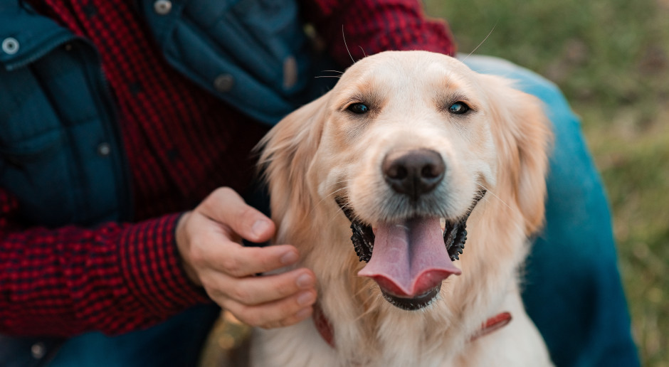 Nowa ulga dla właścicieli psów. Zapadła przełomowa decyzja