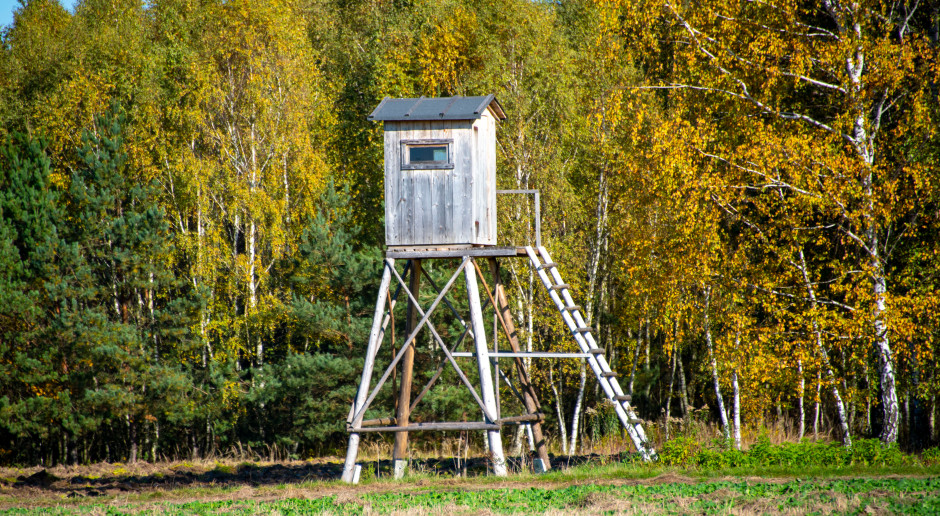 Zmiana reguł dla myśliwych. Koniec polowań bez spełnienia warunku