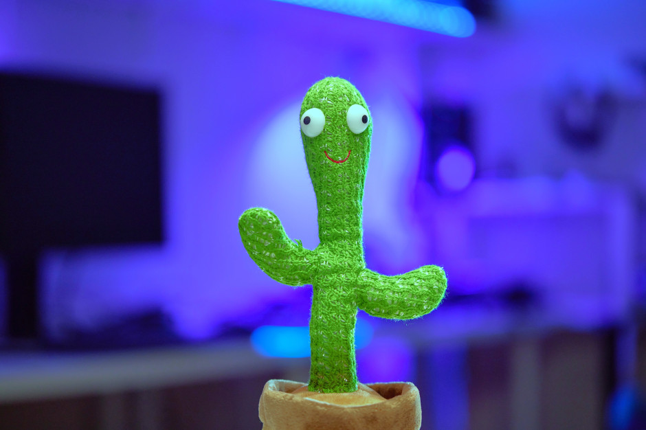 Tańczący kaktus, klocki magnetyczne. Ryzyko uszkodzenia słuchu i perforacji jelit