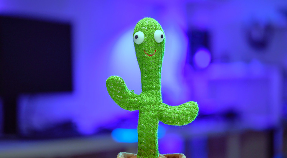 Tańczący kaktus, klocki magnetyczne. Ryzyko uszkodzenia słuchu i perforacji jelit