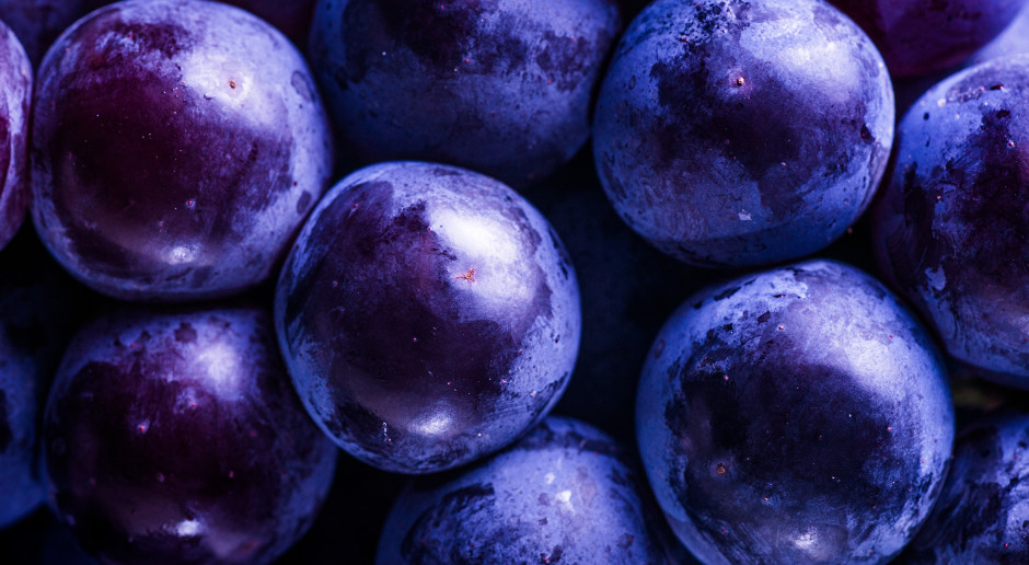 Badacze podnieśli alarm. Dewastują jelita, a i tak jemy na potęgę