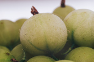 Zakazane dla cukrzyków? Mit, w który wierzyliśmy przez lata właśnie runął