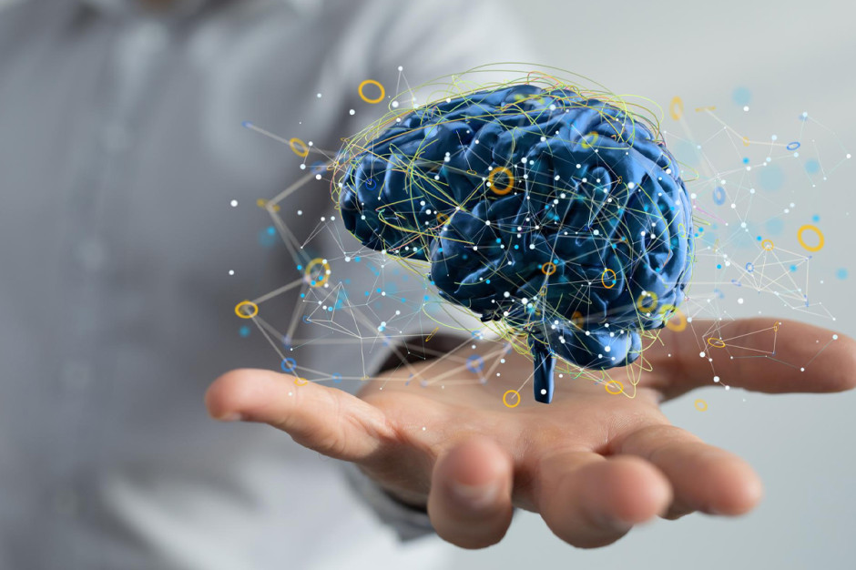 W zdrowym ciele zdrowy… mózg, czyli kilka słów o neuroplastyczności i chorobach neurodegeneracyjnych