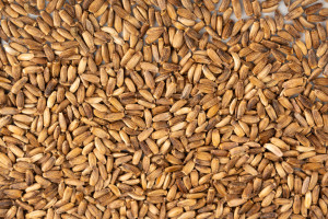  potrafi cofnąć stłuszczenie