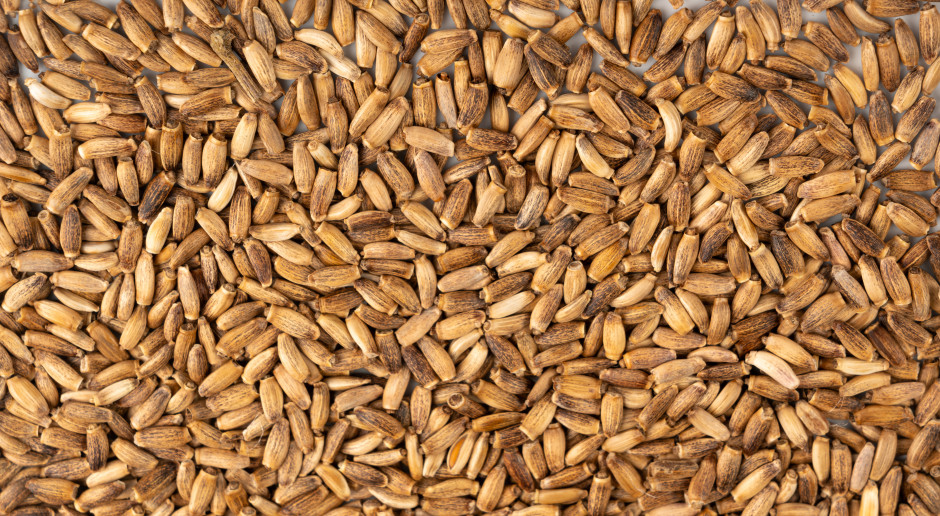 Potężne wsparcie dla wątroby. Badania potwierdziły: potrafi cofnąć stłuszczenie