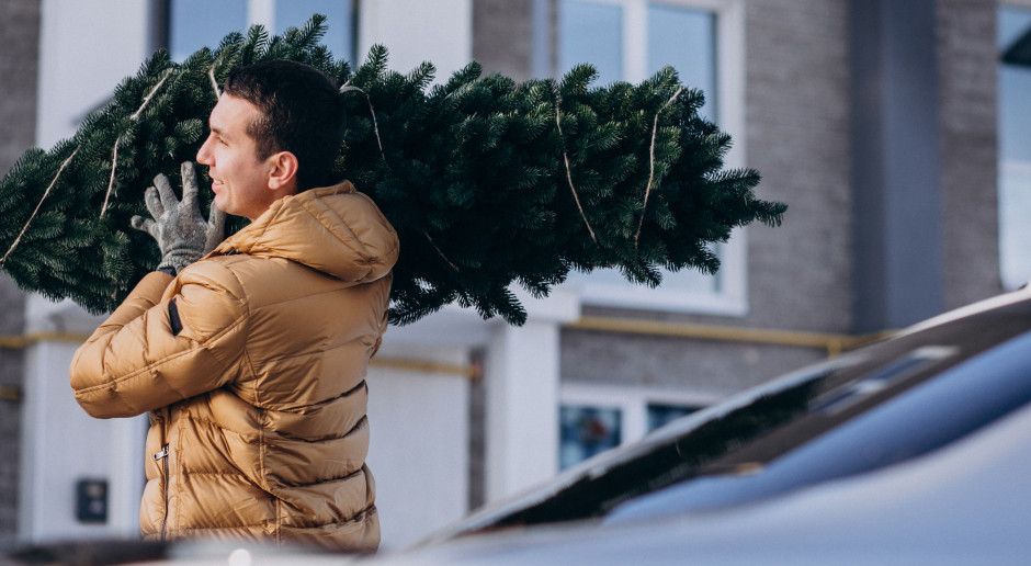 "Bigosowe" zwolnienia: ktoś bierze L4 na kręgosłup, a chwilę później taszczy choinkę