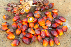 Szkodliwy, a producenci dodają na potęgę. Krótka droga do zawału