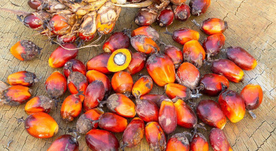 Szkodliwy, a producenci dodają na potęgę. Krótka droga do zawału