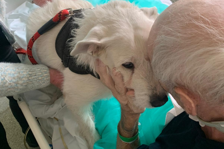 "Nie widzieli się ponad pół roku". Wyjątkowe święta i Nowy Rok na oddziałach szpitala w Legnicy