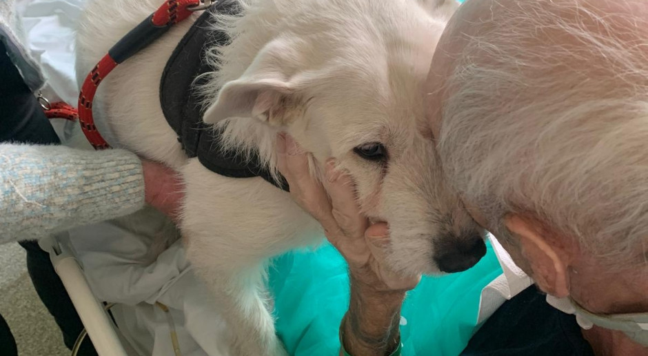 "Nie widzieli się ponad pół roku". Wyjątkowe święta i Nowy Rok na oddziałach szpitala w Legnicy