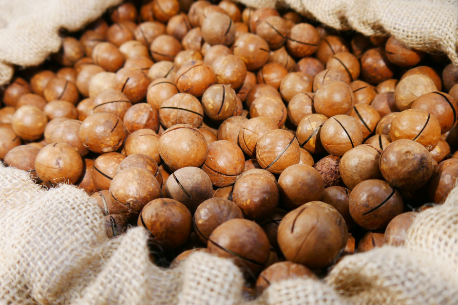 Naturalny Ozempic. Naukowcy odkryli, iż hamuje uczucie głodu