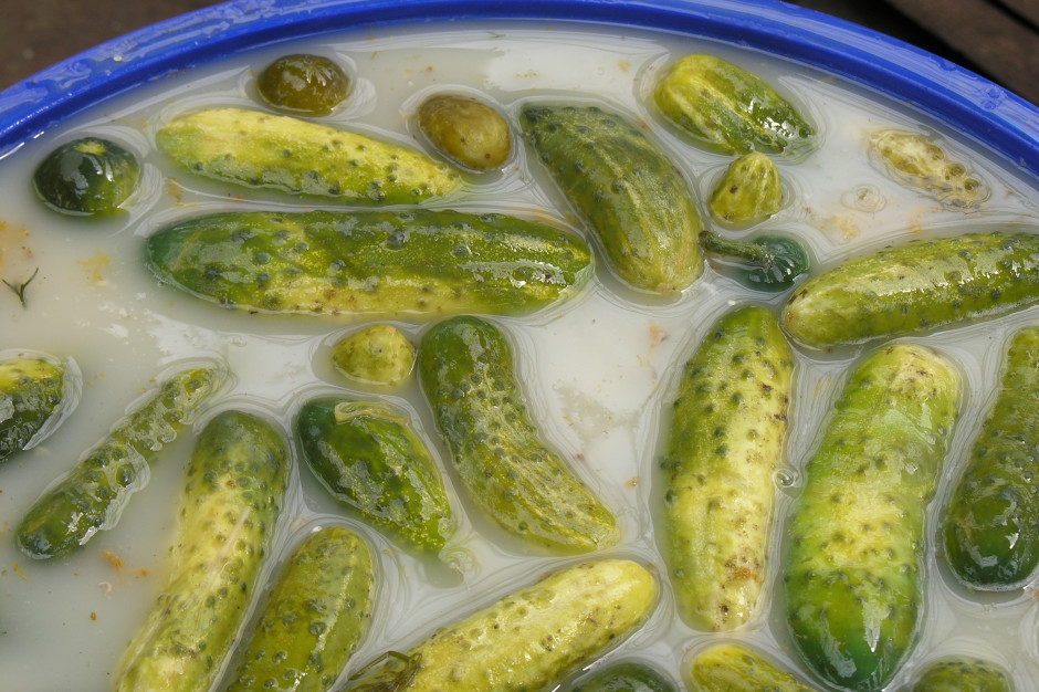 Nie zawsze widać od razu. W piorunującym tempie dewastują wątrobę i nerki