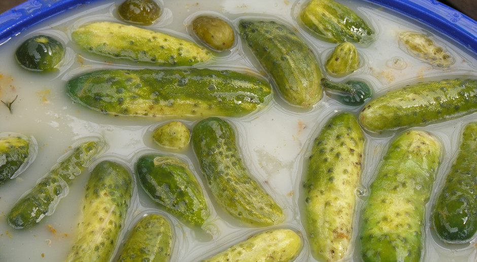 Nie zawsze widać od razu. W piorunującym tempie dewastują wątrobę i nerki