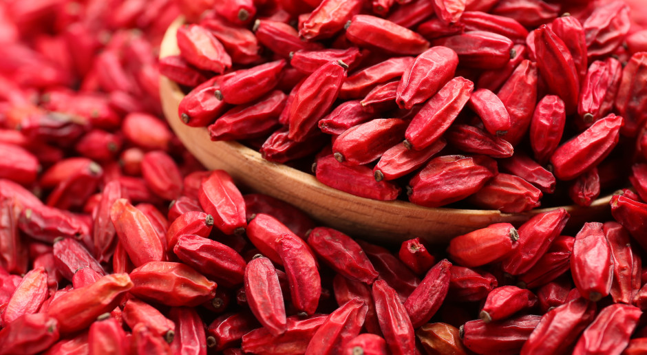 Ozempic z natury. Broń przeciw cukrzycy i nadwadze rośnie w całym kraju