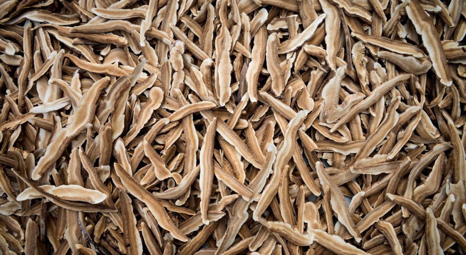 Biją na głowę suplementy diety. Cenne źródło witaminy D