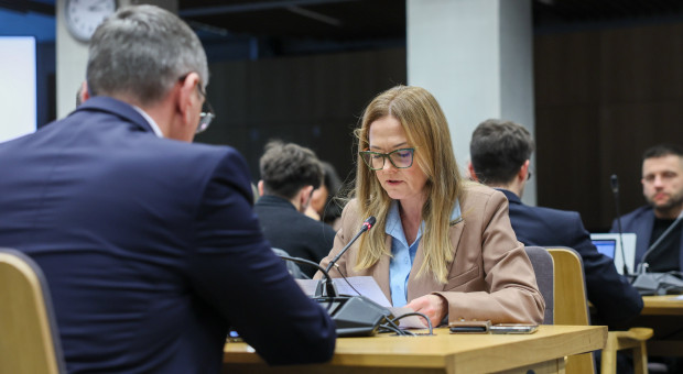 3 mln puszek piwa dziennie i 186 mld zł strat. Alkoholowy dylemat rządu