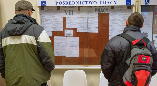 Neutralne płciowo ogłoszenia, nierówne pensje. Czy język rozwiąże problem luki płacowej?