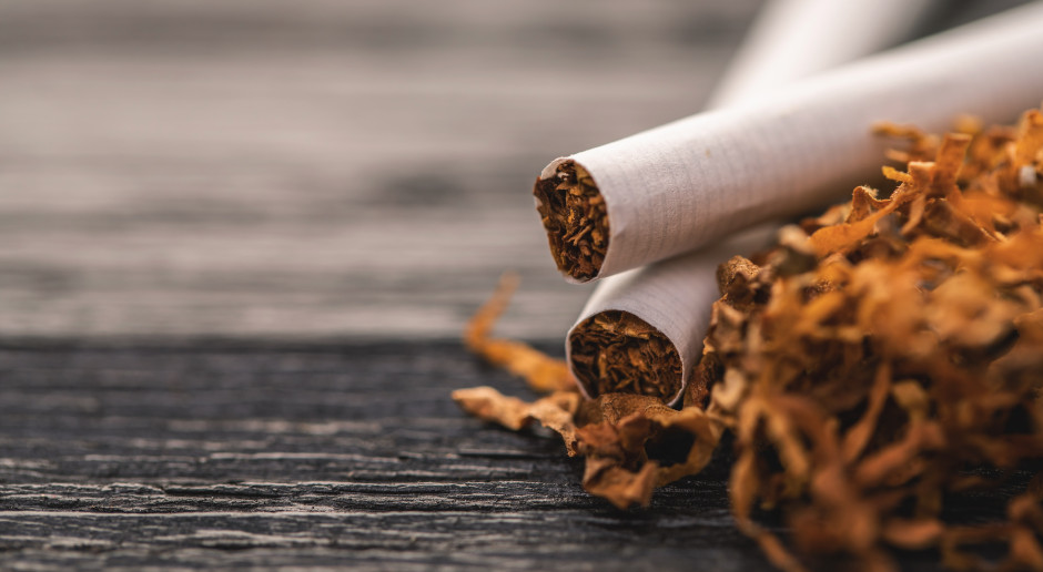 Plantatorzy tytoniu wygrali starcie ze Światową Organizacją Zdrowia. Dostało się ministerstwu