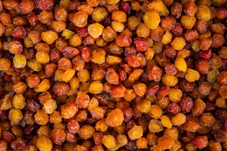 Ratunek dla wątroby i nerek prosto z polskich łąk. Posadź u siebie w ogródku