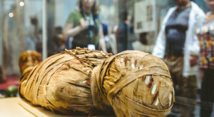 Mumia party, olej z węża i leczenie radem. Fake newsy naszych przodków