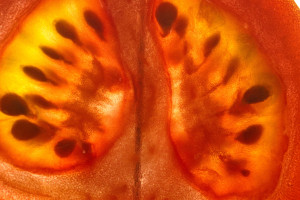 Kontrowersyjny owoc działa lepiej niż suplementy. Najlepiej jeść go z tłuszczem