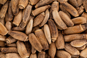 Potężne wsparcie dla wątroby. Badania potwierdzają: może cofać stłuszczenie