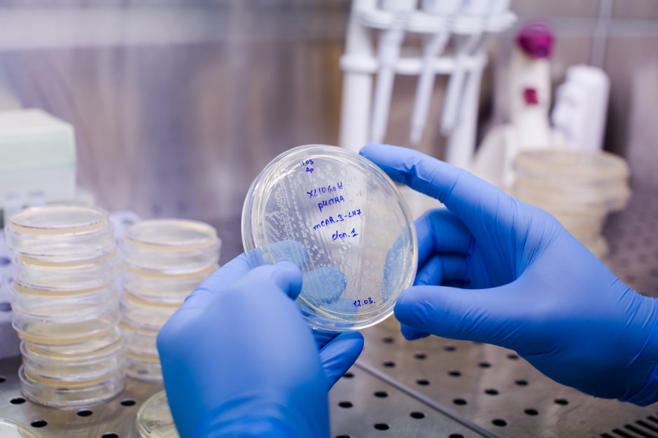 Na HCC o hematoonkologii: terapia CAR-T teraz i w przyszłości. Eksperci podyskutują o wyzwaniach