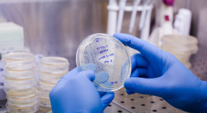 Na HCC o hematoonkologii: terapia CAR-T teraz i w przyszłości. Eksperci podyskutują o wyzwaniach