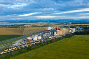 Local content kołem zamachowym rozwoju polskich firm