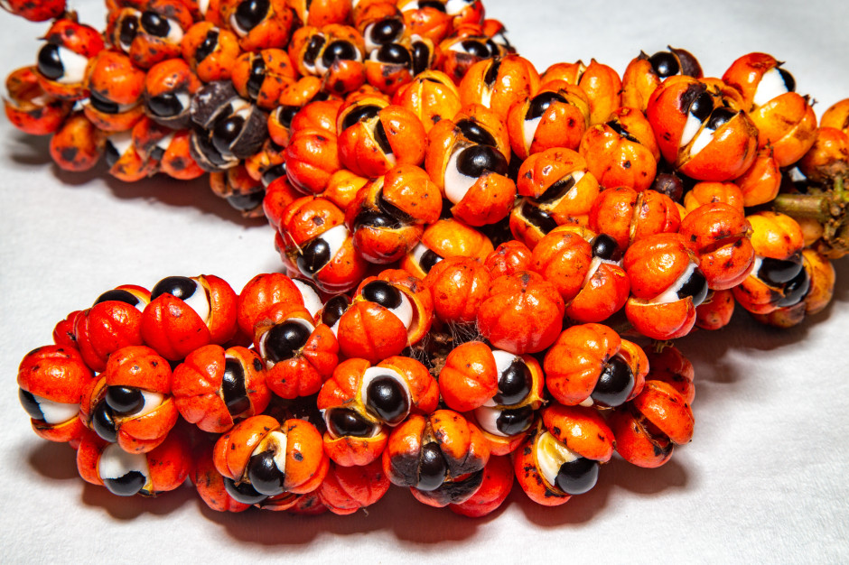 Działa lepiej niż kawa. Polacy wciąż omijają szerokim łukiem