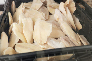 Ryba naszpikowana rtęcią. Może trwale uszkodzić układ nerwowy