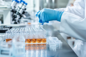 Najwyższe standardy prowadzenia badań klinicznych dzięki zapleczu naukowo-badawczemu Instytutu Hematologii i Transfuzjologii