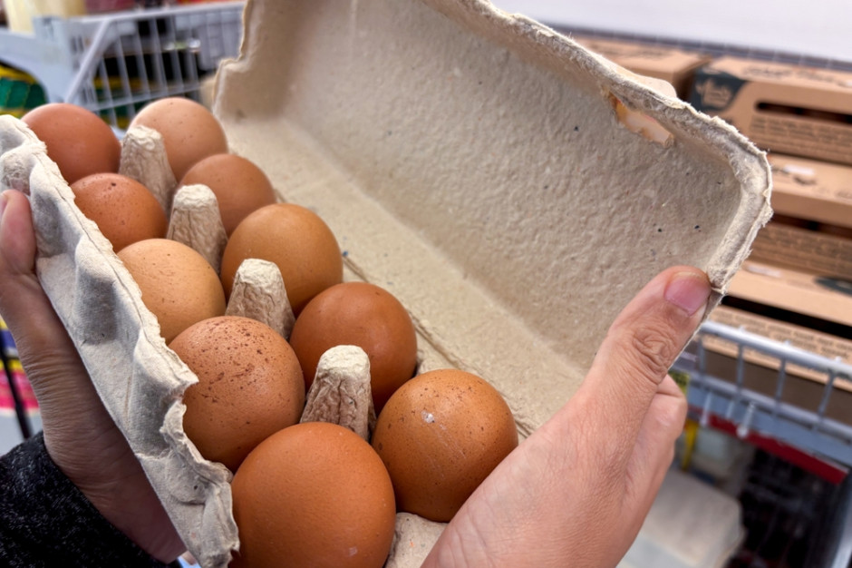 Tak oszukują nas producenci jajek. Kontrola ujawniła ogromną skalę