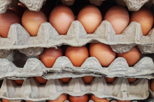 Alarm po kontrolach jajek. Wyszły na jaw masowe nieprawidłowości