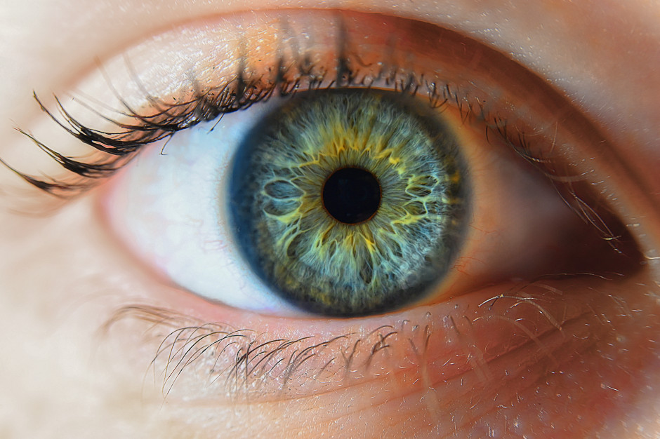 Powszechna bakteria wywołująca zapalenie płuc może przyczyniać się do rozwoju choroby Alzheimera