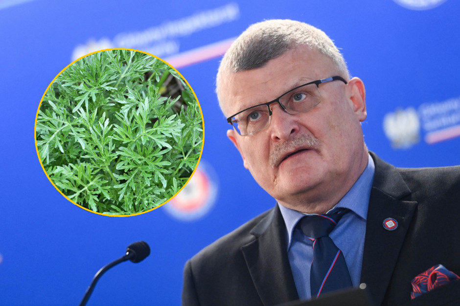 Trafiła do grona zakazanych substancji. Od dawna mówiono, iż jest neurotoksyczna