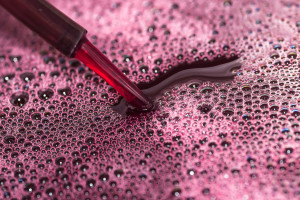 12 lat badań i jeden wniosek. Francuski paradoks zdaniem naukowców to mit