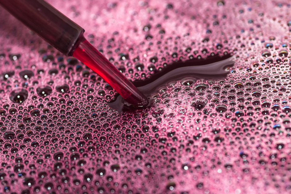 12 lat badań i jeden wniosek. Francuski paradoks zdaniem naukowców to mit