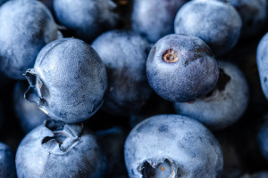12 lat badań potwierdziło. Spowalnia starzenie, odmładza mózg