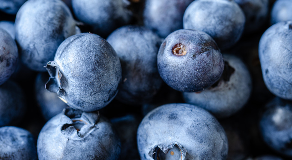 12 lat badań potwierdziło. Spowalnia starzenie, odmładza mózg