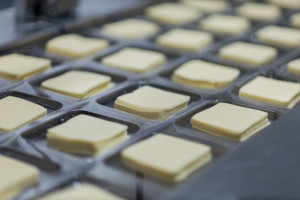 Dostają się do żywności i powodują niepłodność. "Wypłukiwane z opakowań"